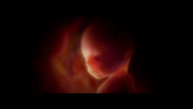 Курсовая работа. Тема: диалог с событием. ГИТР 2008 год смотреть онлайн