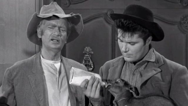 Buddy Ebsen Was The Star Of Beverly Hillbillies, But Max Baer Jr. Had More Fan Mail смотреть онлайн