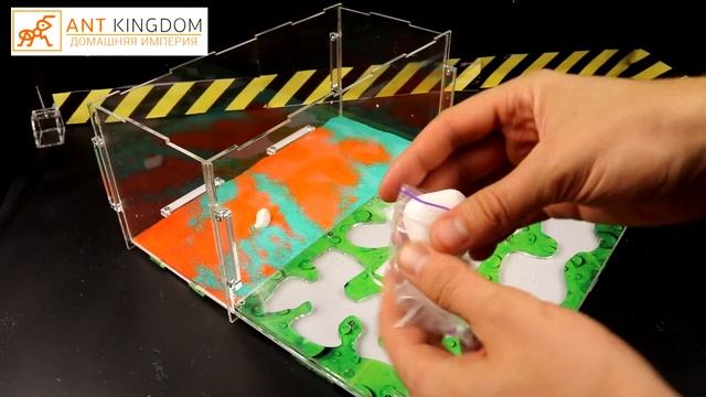 САМАЯ БОЛЬШАЯ МУРАВЬИНАЯ ФЕРМА! ЧТО ЕСЛИ ЦВЕТОК МУХОЕД ОПУСТИТЬ В МУРАВЬИНУЮ ФЕРМУ?! смотреть онлайн