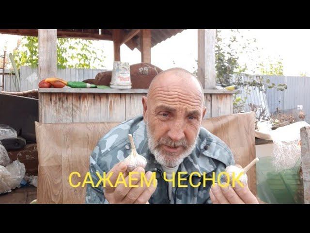 октябрь - сажаем чеснок.... смотреть онлайн