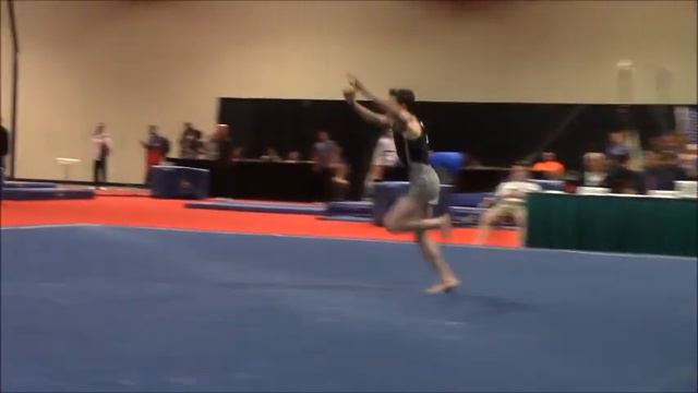 Eli Potruch Level 9 Region 1 Men's Gymnastics Championship смотреть онлайн