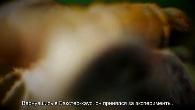 Человек стали: как Генри Бессемер перевернул металлургию смотреть онлайн