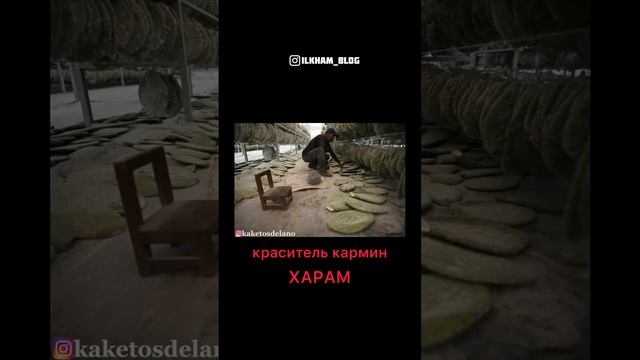 краситель кармин мусульманам употреблять запрещено ?