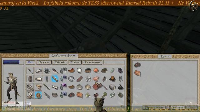 ☪ Поиски родителей ребенка ☪ Serĉu la survivanta gepatrojn ☪11☪RU/EO☪ TES 3 Morrowind смотреть онлайн