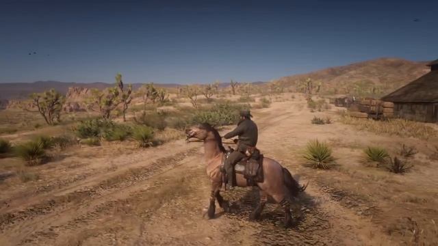 Red Dead Redemption 2 Mustang HORSE LOCATION & ALL COATS & STATS GOOD HORSE GUIDE смотреть онлайн