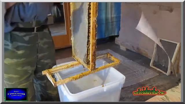 Перга пчелиная в сотах: консервация медом. Работа на пасеке. Пчеловодство для начинающих смотреть онлайн