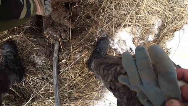 Чермет по 20руб Копаю где придётся смотреть онлайн