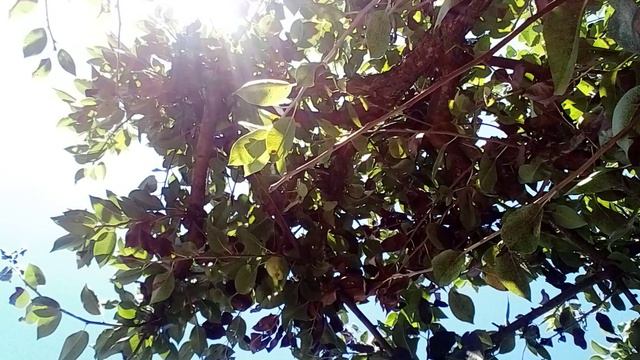 20240813_113347.mp4 смотреть онлайн