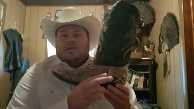 JB Dillon High Noon Natural Snakeskin Cowboy Boots Review смотреть онлайн