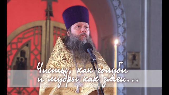 "Чисты как голуби и мудры, как змеи..." .160119. смотреть онлайн