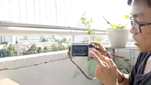 Review chi tiết và trải nghiệm thực tế Fujifilm XA5 | Máy ảnh 2nd giá rẻ | Nhím Ngao du смотреть онлайн