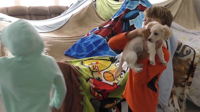 OUR EPIC BLANKET FORT! | We Are The Davises смотреть онлайн