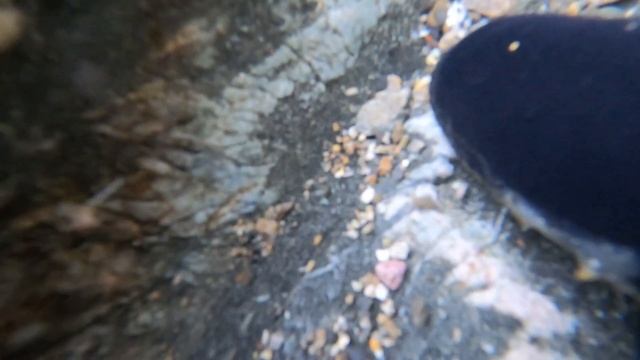 Money in the Bank! Winter Gold Mining more than Pays for the Trip! смотреть онлайн