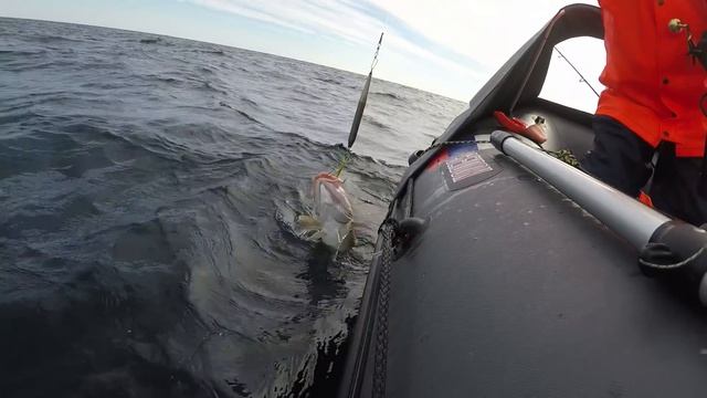 Рыбалка на Баренцевом море / часть 2 / Fishing In The Barents Sea