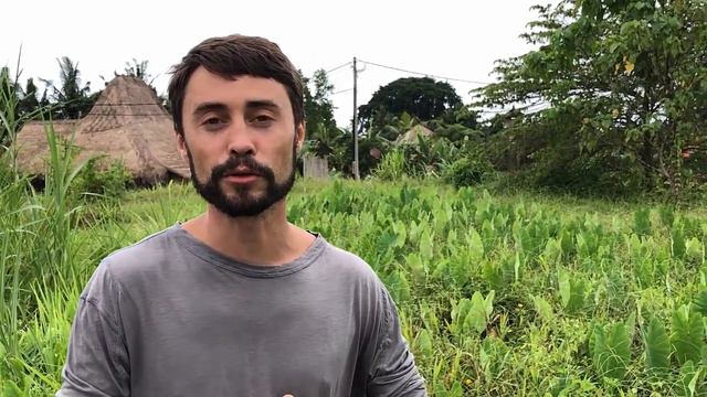 Свет и мечты