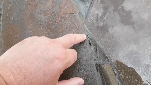 Первые урожаи в теплице. Делаем дорожку из натурального камня смотреть онлайн