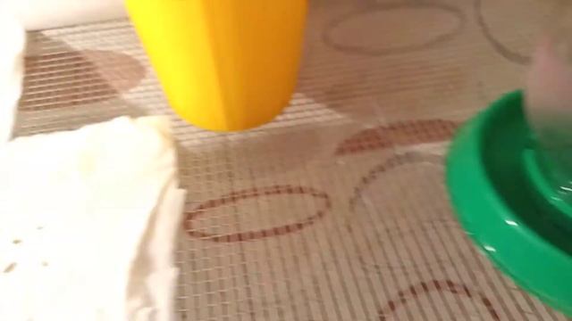 Кучинские цыплята смотреть онлайн