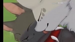 Коты-Воители 🔱@КЛИП@🔱 🚫КРОВОЦАПКА И БИЧ🚫🔆💢КРУТОБОК И БИЧ!💢🔆