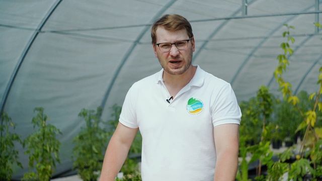 Эликсир для ягод от Органик Микс / Подробно о продукции Органик микс смотреть онлайн