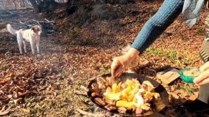 Жареное мясо с картофелем на саж на природе Азербайджанская Кухня Деревенская Кухня  Рецепты