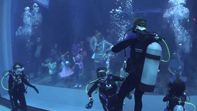 Georgia Aquarium Dive with Patriot Dive Center 2/6/16 430pm смотреть онлайн
