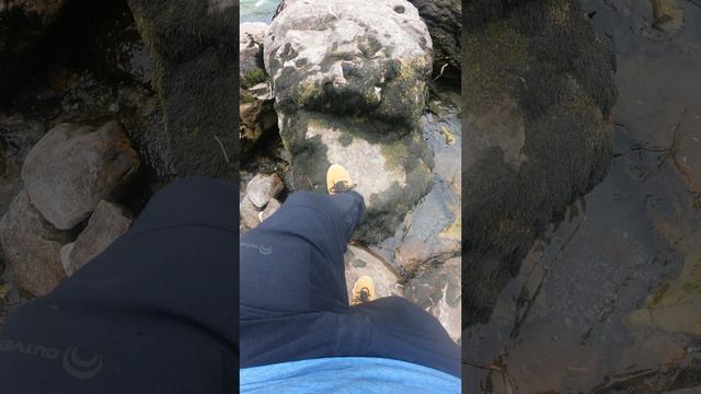 Место слияния рек Гега и Юпшара, Абхазия .mp4 смотреть онлайн