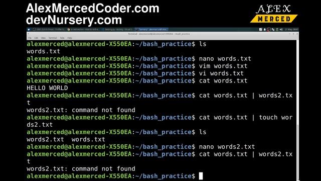 AM Coder - The Very Basics of Bash and Bash Scripting Made Easy смотреть онлайн