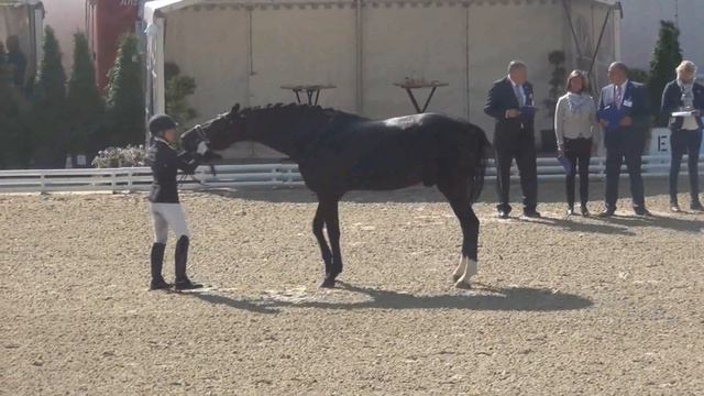 SECRET & Jessica Andersson - BuCha 2017 Finale Teil A + B смотреть онлайн