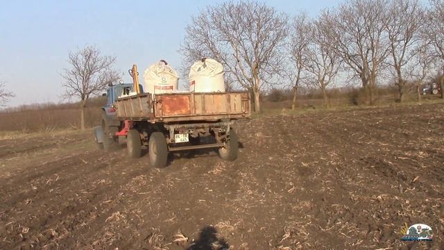 Мтз 82 вывозит семена для посева подсолнечьника с Мтz 1221 тропик