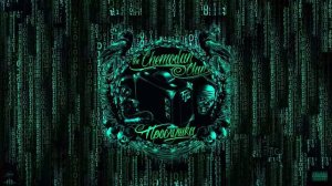 Chemodan clan - Эхо