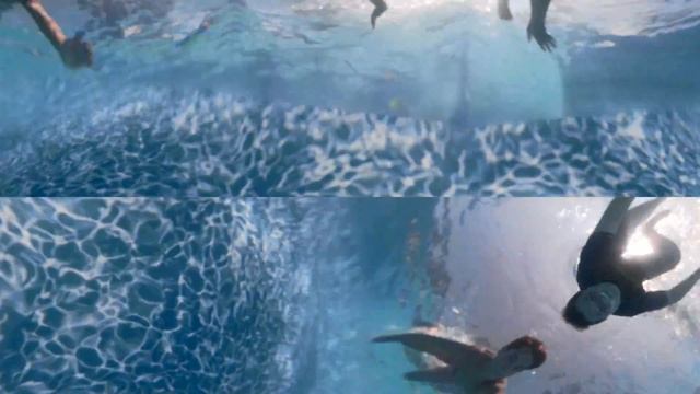 Camp Wildlife Advanced Week 2 смотреть онлайн