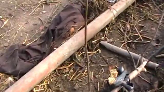 укрытие инжира на зиму смотреть онлайн