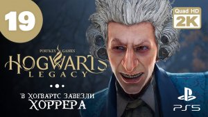 МАГАЗИН С ПРИКЛЮЧЕНИЯМИ ▷ Hogwarts Legacy ✦ PS5 [2K 60 fps] - Прохождение #19
