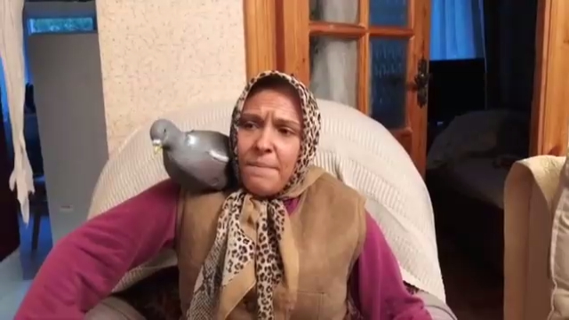 Бабушка и реинкарнация смотреть онлайн