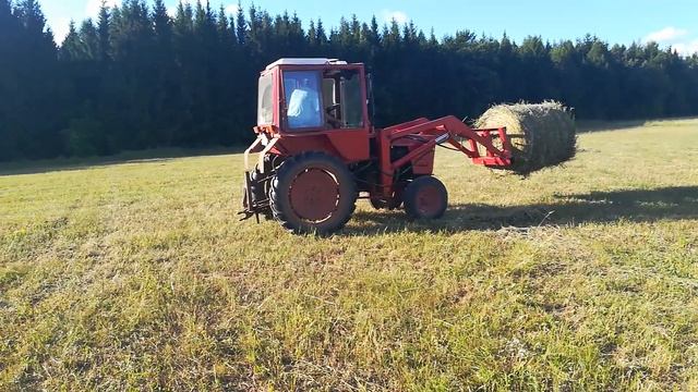 Заготовка сена 2021 смотреть онлайн