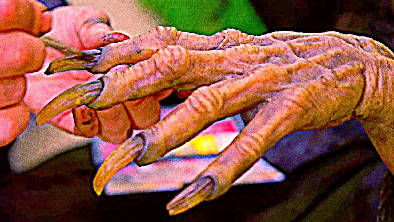 Кабинет редкостей Гильермо дель Торо Русский трейлер Сериал 2022 (Netflix) смотреть онлайн