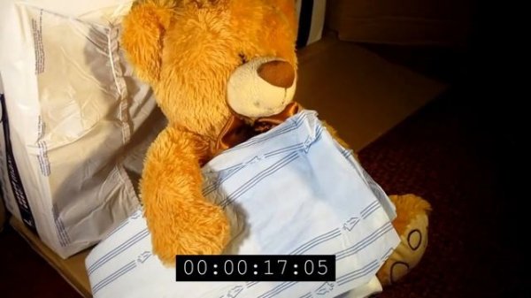 ABDL ADULT DIAPER MODERN EDUCATION