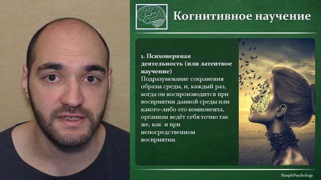 Психология. Научение и его виды. смотреть онлайн