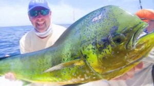 Ловля тунца в открытом море