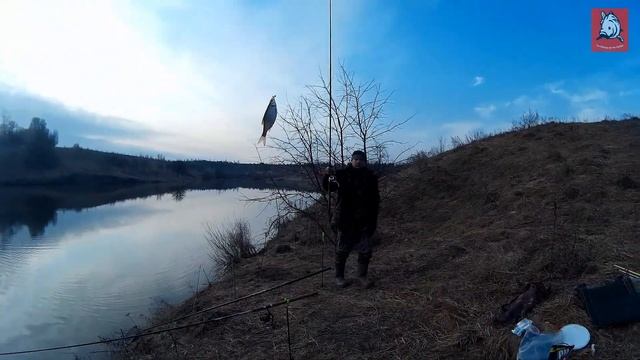 Открытие Рыболовного Сезона (Фидер) в Л. П. Х. " ВЕПРЬ"!!! 04 05 04 2019 гг смотреть онлайн