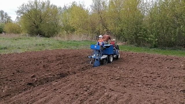 Всем работа по плечу. Картошка 2021. Картофелесажалка с ручной подачей к мини трактору. смотреть онлайн