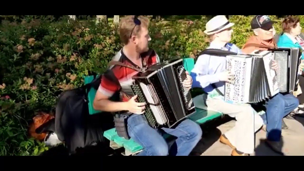 ДОСАДА в исполнении трио Питерских баянистов! смотреть онлайн