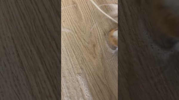 УБОРКА |ОРГАНИЗАЦИЯ