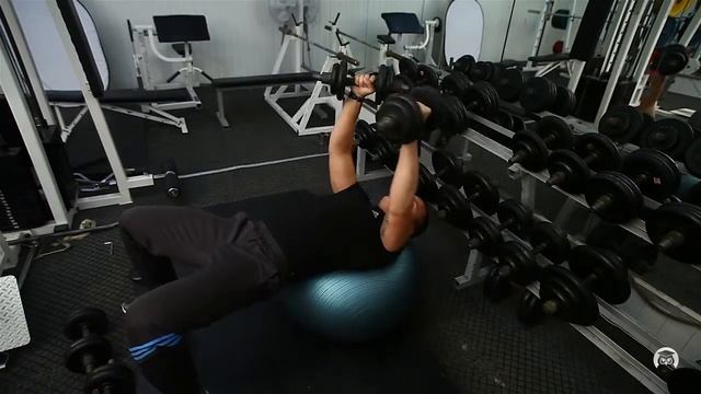 Разведение гантелей лежа на фитболе смотреть онлайн