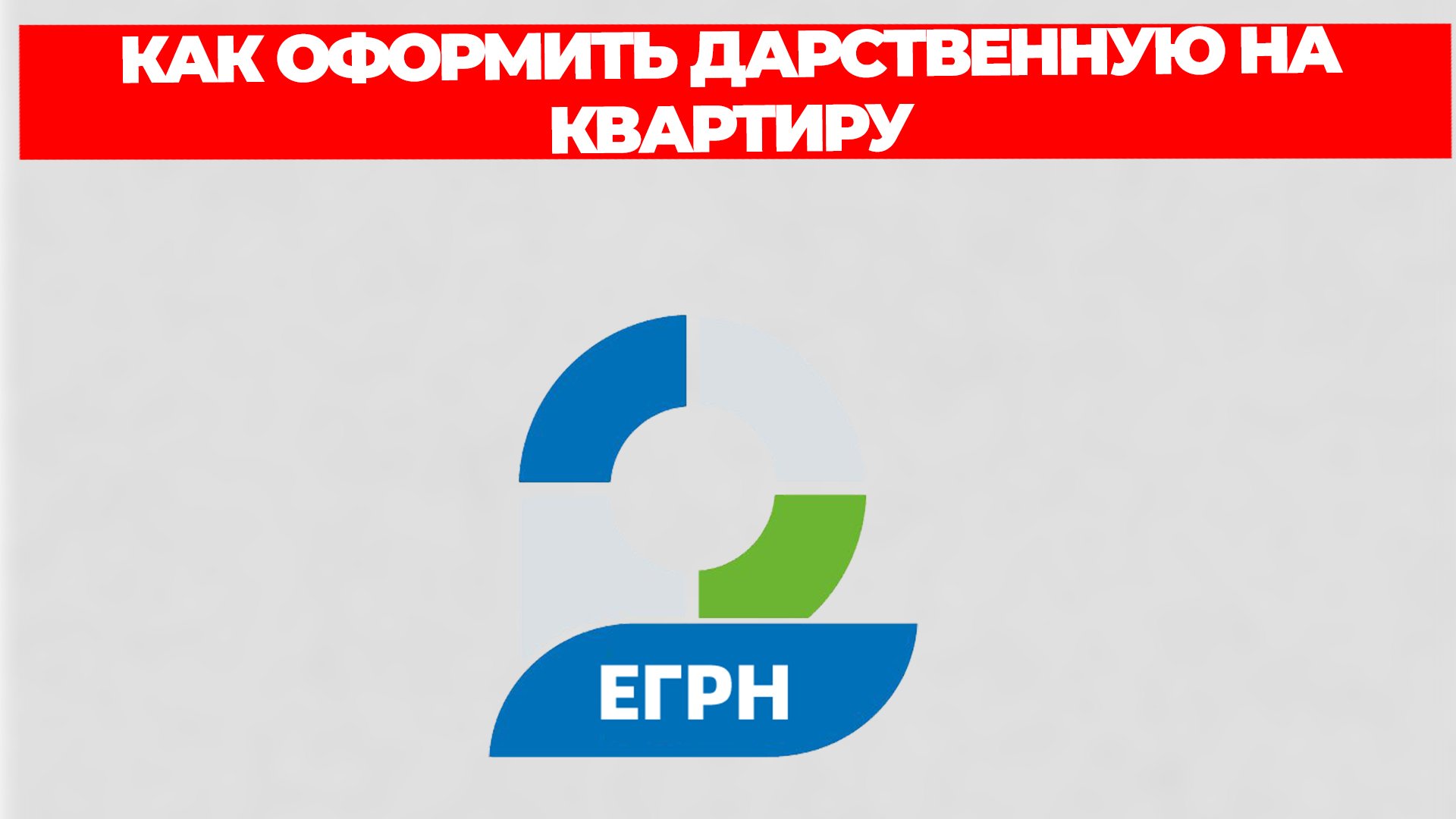 Всезнающий Енот