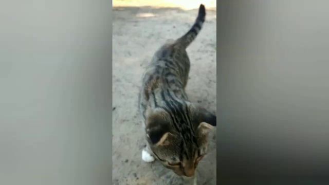 Первый ВЛОГ! День Рождения Бабушки 🎁🎊💃 смотреть онлайн