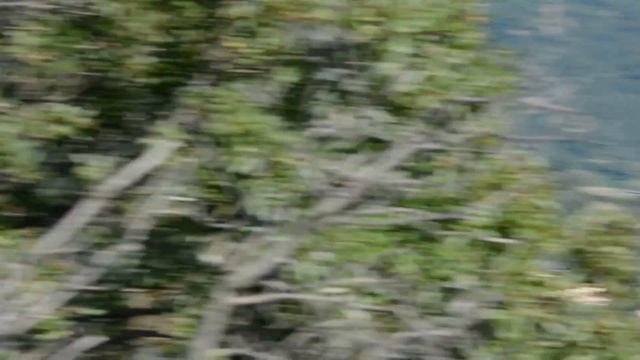 NIKON D7100 AF-S 18 105VR FIRST TEST VIDEO смотреть онлайн