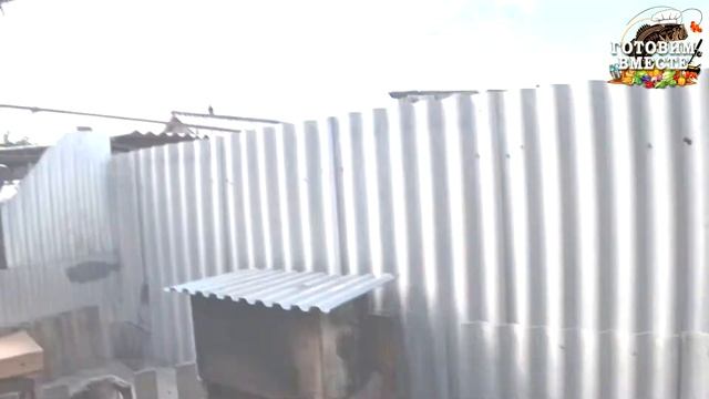 Курица и Крылья!!! Горячего Копчения!!! Всё Очень Просто!!! 2020г смотреть онлайн