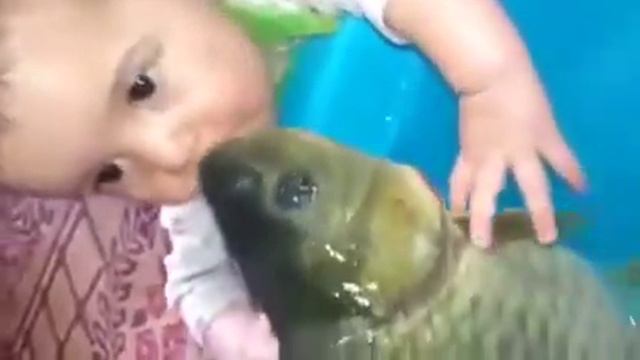 Малыш целует живую рыбу смотреть онлайн