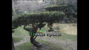 Гимн незнайки и его друзей караоке для детей